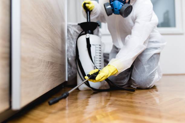 Best Mosquito Control Services  in Pingree Grove, IL