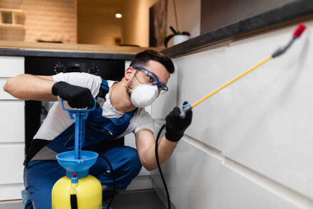 Best Best Pest Control Companies  in Pingree Grove, IL