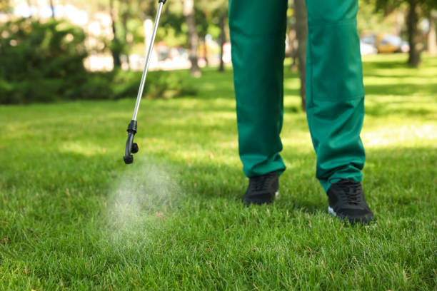 Best Pest Prevention Services  in Pingree Grove, IL