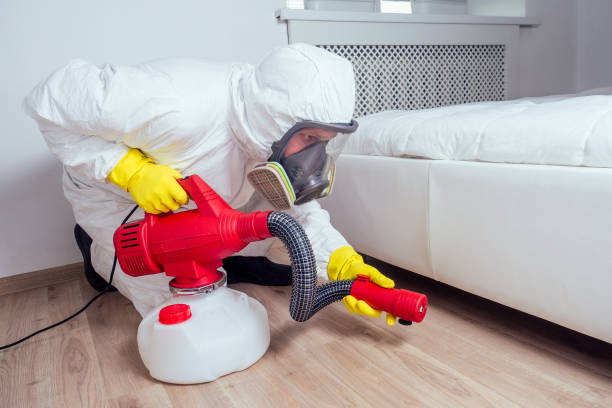 Best Mosquito Control Services  in Pingree Grove, IL