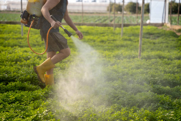 Professional Pest Control in Pingree Grove, IL