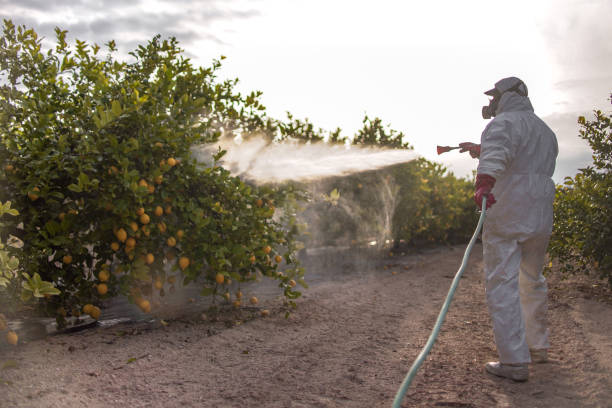 Best Mosquito Control Services  in Pingree Grove, IL
