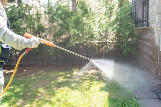 Best Pest Removal Services  in Pingree Grove, IL