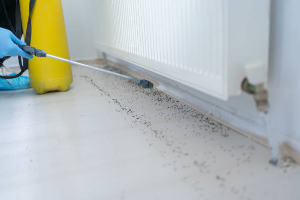 Best Pest Inspection Near Me  in Pingree Grove, IL