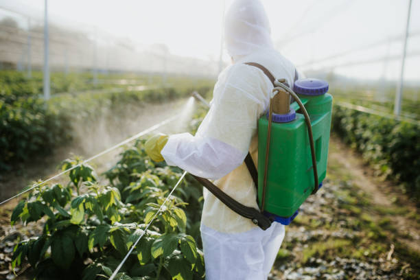 Best Ant Control Services  in Pingree Grove, IL